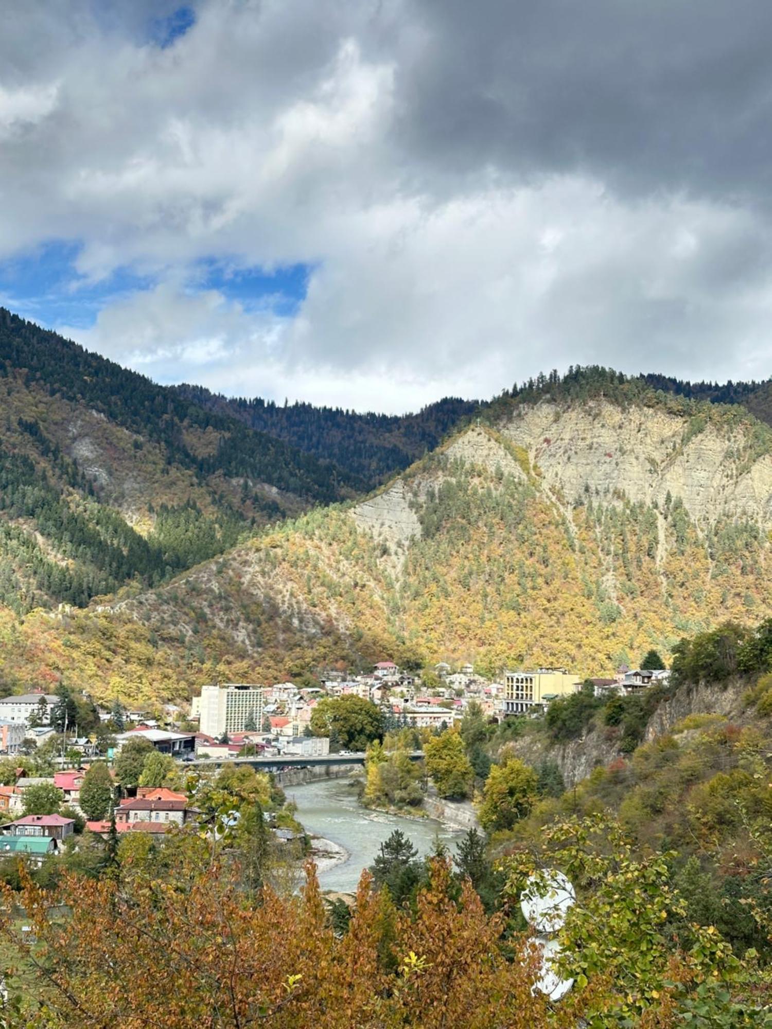 Woodland Borjomi Ξενοδοχείο Εξωτερικό φωτογραφία