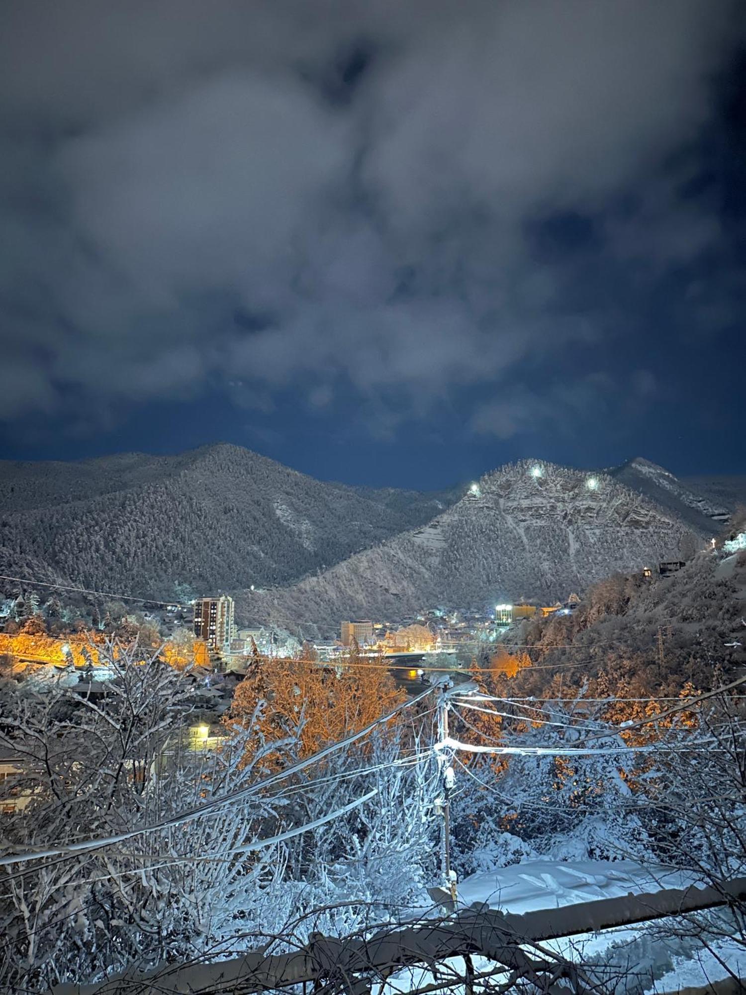 Woodland Borjomi Ξενοδοχείο Εξωτερικό φωτογραφία